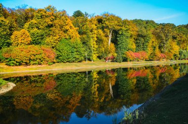 Sonbahar yaprakları, göl ve gökyüzü karşı akça ağaç dalları. Park güneşli bir günde.
