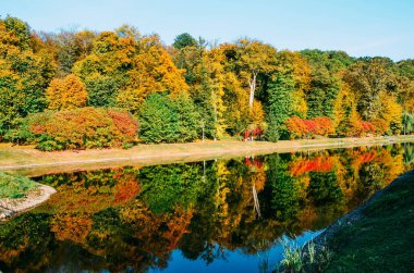 Sonbahar yaprakları, göl ve gökyüzü karşı akça ağaç dalları. Park güneşli bir günde.