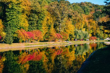 Sonbahar yaprakları, göl ve gökyüzü karşı akça ağaç dalları. Park güneşli bir günde.