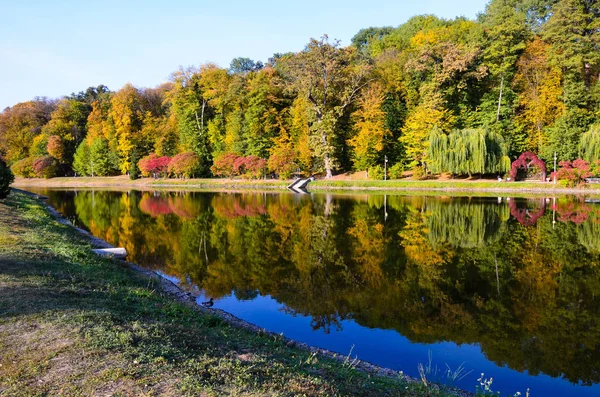 Sonbahar yaprakları, göl ve gökyüzü karşı akça ağaç dalları. Park güneşli bir günde.