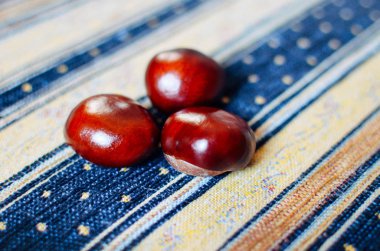 Tekstil zemin üzerine taze kestane