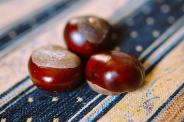 Tekstil zemin üzerine taze kestane