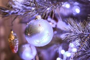 Noel süslemeleri dallarda köknar