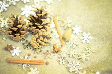 Mandalina ile Noel kompozisyon, Çam Konileri, Cinnamonand kar taneleri demet-dekor