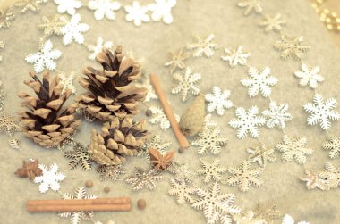 Mandalina ile Noel kompozisyon, Çam Konileri, Cinnamonand kar taneleri demet-dekor