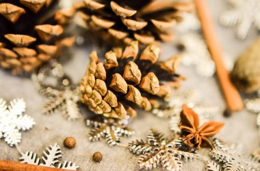 Mandalina ile Noel kompozisyon, Çam Konileri, Cinnamonand kar taneleri demet-dekor