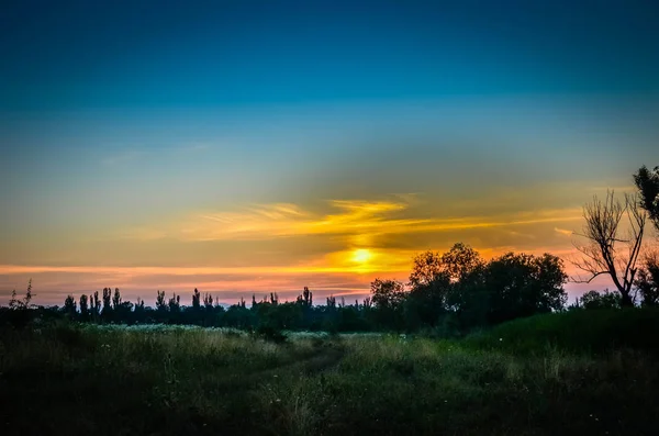 Coucher de soleil sur le lac avec des arbres et d'autres plantes — Photo