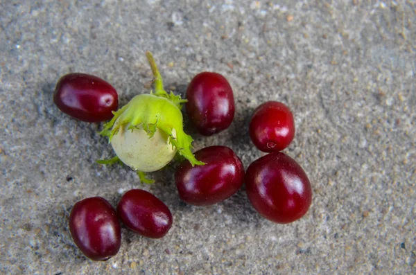 Rote Preiselbeere und grüne Haselnüsse auf Asphalt — Stockfoto