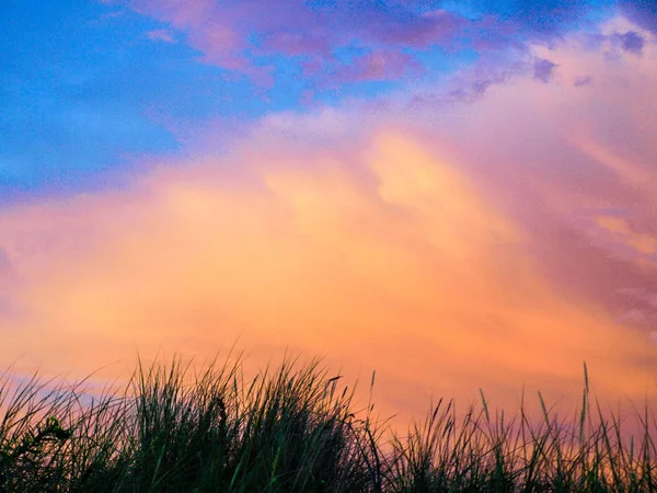 Silhouette d'herbe au coucher du soleil — Photo