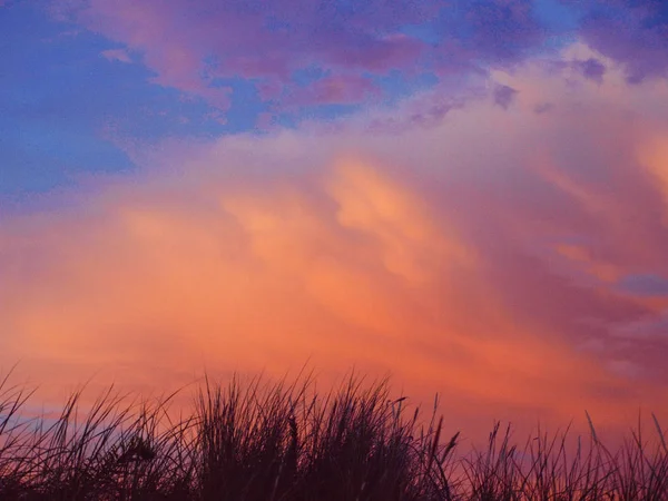 Silhouette d'herbe au coucher du soleil — Photo