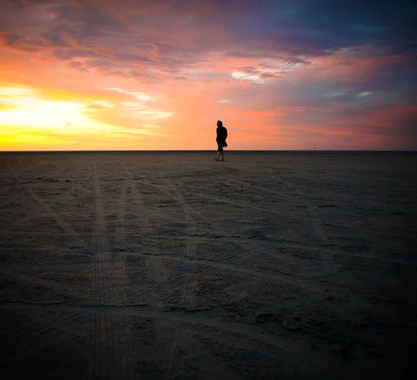 Silhouette of man looking the sunset beach — Stock Photo, Image