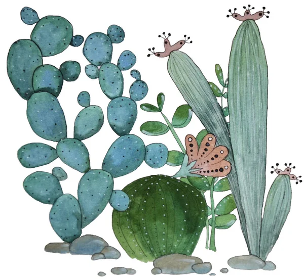 คอลเลกชัน Cacti กับดอกไม้กิ่งไม้และน้ําซุปอื่น ๆ — ภาพถ่ายสต็อก