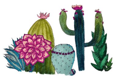 Çiçekler ve diğer succulents ile kaktüsler toplama