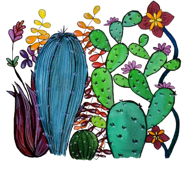 Kaktuszok Gyűjteményével Virágok Egyéb Pozsgás Növények — Stock Fotó