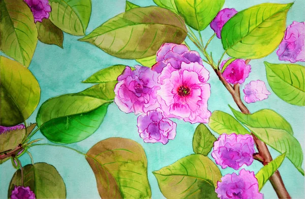 Сакура Blossom Відділення Квіткові Фону Акварель Квітковий Букет Вітальну Листівку — стокове фото