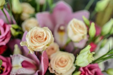 Orkide ve gül güzel bir arka plan üzerinde buket