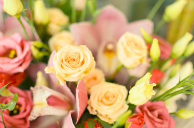 Orkide ve gül güzel bir arka plan üzerinde buket