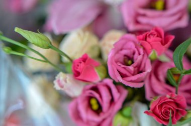 Orkide ve gül güzel bir arka plan üzerinde buket