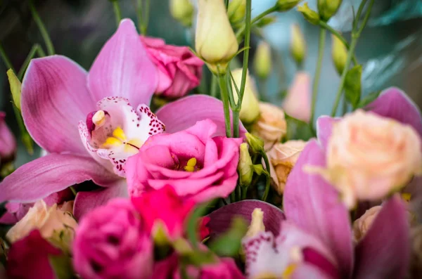 Bouquet with orchids and roses on a beautiful background — Stock Photo, Image