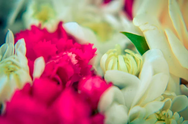 Beautiful bouquet of mixed flowers of chrysanthemums, cloves and roses — Stock Photo, Image