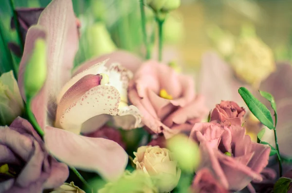 Bouquet with orchids and roses on a beautiful background — Stock Photo, Image