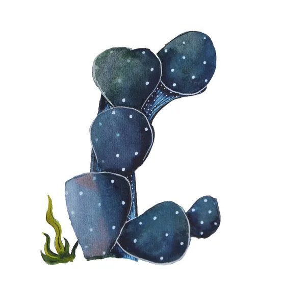 Huruf C dalam bentuk kaktus. Elemen desain yang sempurna untuk logo, ikon, alfabet anak-anak dan bermain — Stok Foto