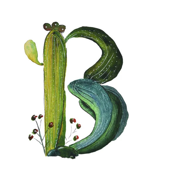 Watercolor illustration with cactus letter A from alphabet — Stok fotoğraf