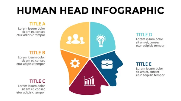 Vektorhirn-Infografik. Vorlage für menschliches Kopfdiagramm, Wissensdiagramm, neuronale Netzwerkpräsentation und Gesichtsdiagramm. Geschäftsidee Konzept mit 5 Optionen, Teilen, Schritten. Brainstorming. — Stockvektor