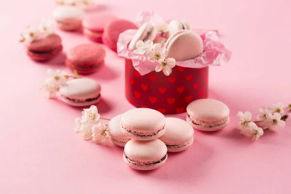 Roze Macarons Rode Geschenkdoos Kersenbloesems Zoete Macarons Aanwezig Roze Achtergrond — Stockfoto