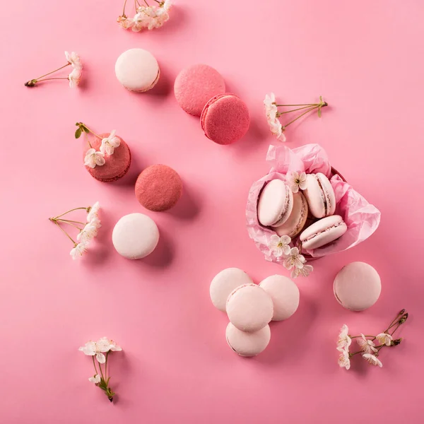 Roze Makronen Geschenkbox Und Kirschblüten Süße Macarons Auf Rosa Hintergrund — Stockfoto