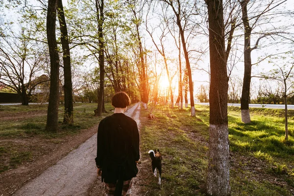 Junge Frau Mit Hund Geht Bei Sonnenuntergang Zwischen Den Bäumen — Stockfoto