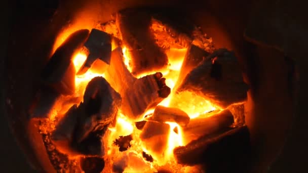 Charbon Bois Combustion Rapprochée Dans Poêle — Video