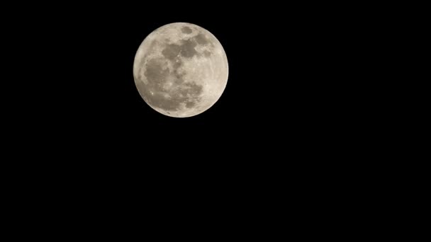 Luna Llena Grande Cielo Oscuro Noviembre Visto Desde Bangkok Tailandia — Vídeo de stock