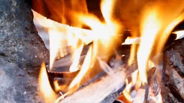 Üzerinden Yemek Pişirmek Için Odun Yanan Ateş Kapatın — Stok video