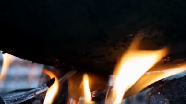Cerrar Fuego Quema Leña Para Cocinar — Vídeos de Stock