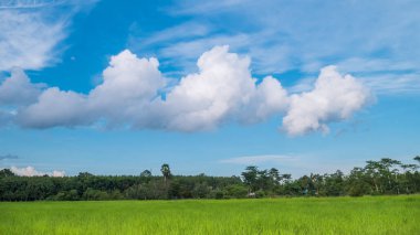 Dağılım bulut ile canlı mavi gökyüzü