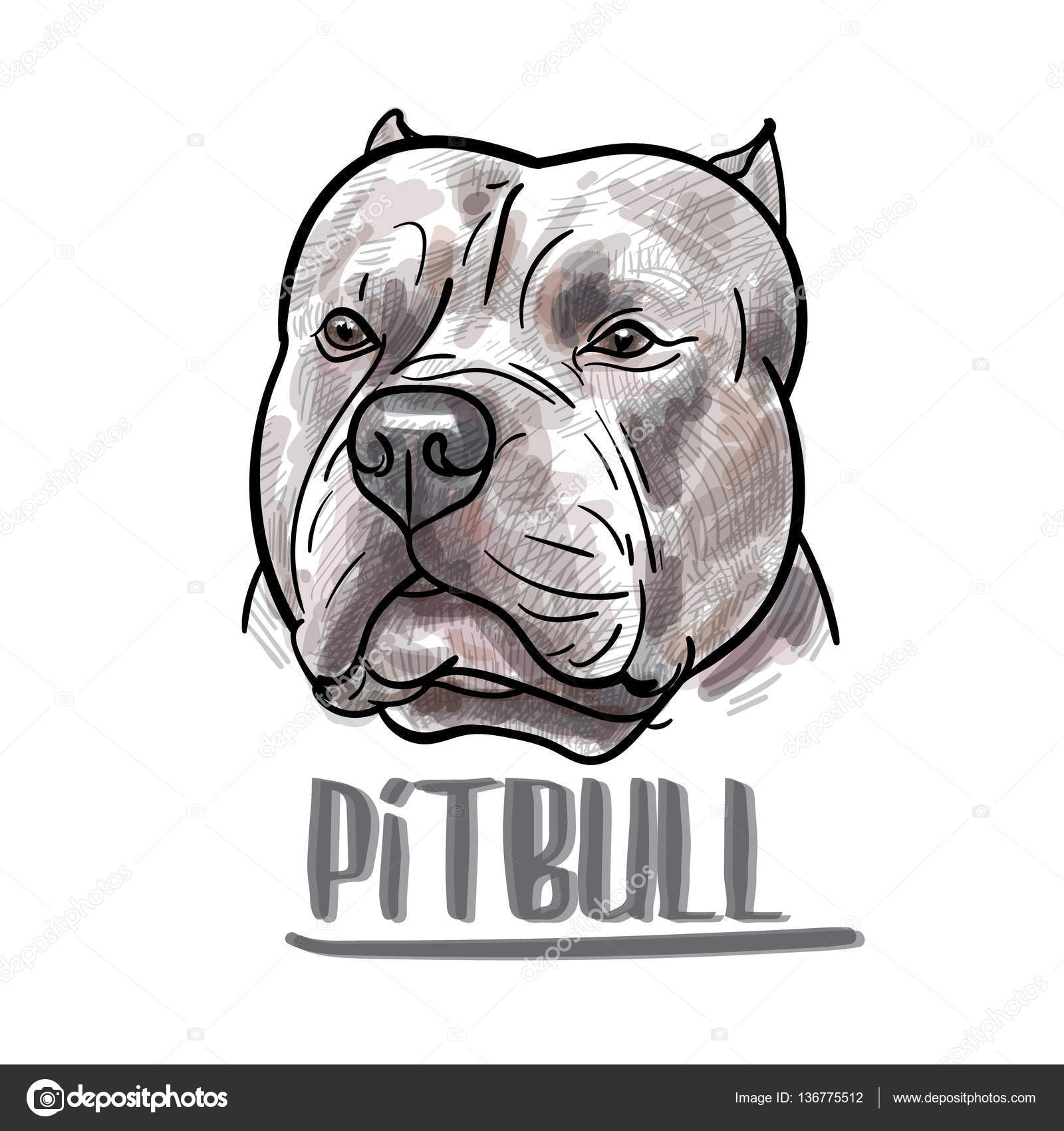 Dibujo pitbull imágenes de stock de arte vectorial | Depositphotos