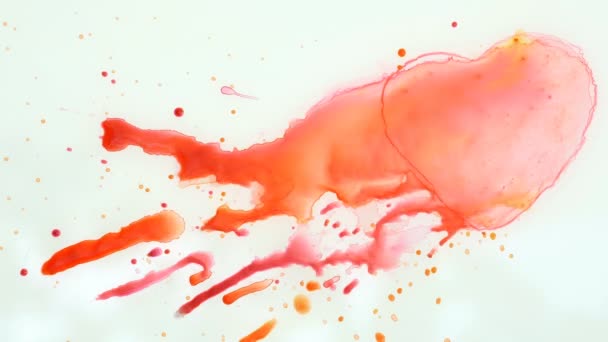 Splash Watercolor Of Heart Shape On White — Stock Video