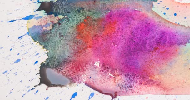 Islak Boyalı Sulu Boya Renk Kağıt Üzerinde Timelapse Kurutma — Stok video