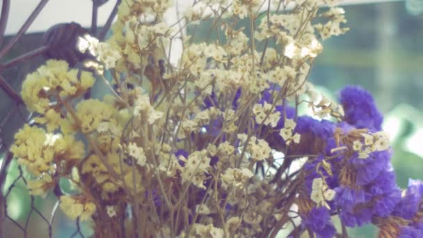 Closeup Ανθοδέσμη Των Ξηρών Κίτρινο Και Μοβ Λουλούδι Panning Και — Αρχείο Βίντεο