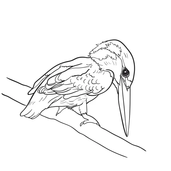 Zeichnung des Eisvogels hält sich am Zweig — Stockvektor