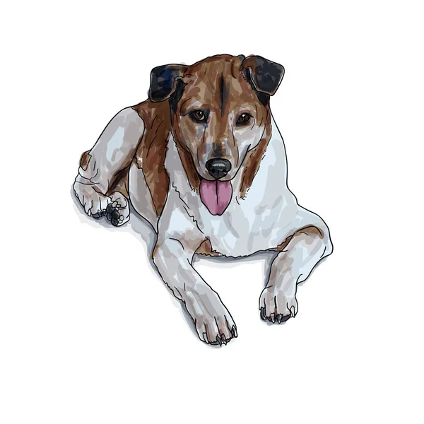 Perro marrón mentiroso — Archivo Imágenes Vectoriales