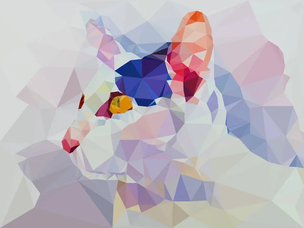 Faible poly géométrique du chat — Image vectorielle