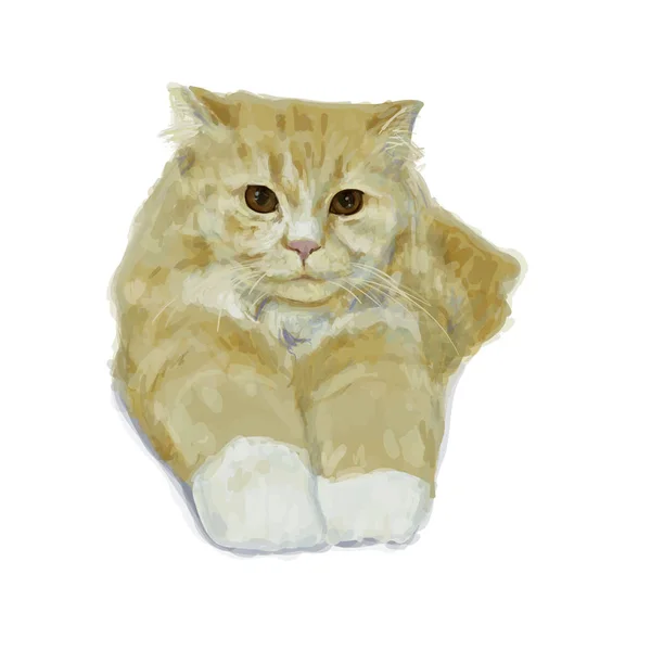 Adorable gato persa acostado y estiramiento de la pierna en el fondo blanco — Vector de stock