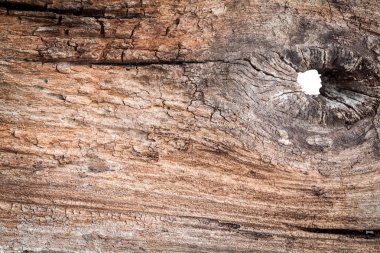 Eski panel ağaç doku ve arka plan