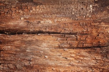 Eski panel ağaç doku ve arka plan