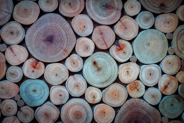 Pièce ronde en bois collée sur le mur — Photo