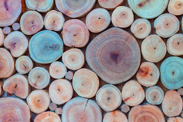 Pieza redonda de madera pegada en la pared — Foto de Stock