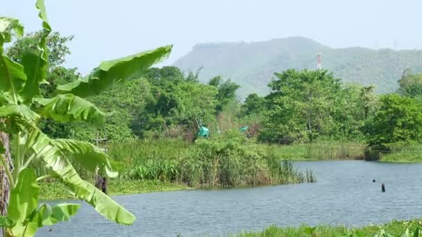 Blick auf Berg und Baum am Fluss kwai — Stockvideo