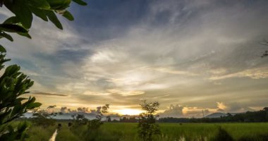 Pirinç alan üzerinde renkli gökyüzü ile alacakaranlıkta geçen bulut